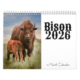 Bison 2026 12 Monatskalender Kalender