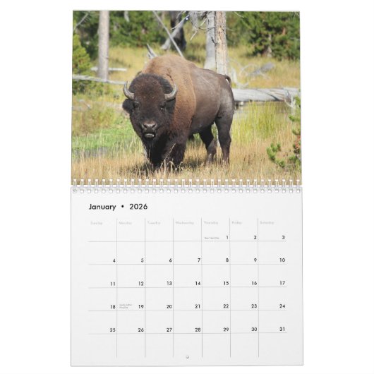 Bison 2026 12 Monatskalender Kalender (Jan 2026)