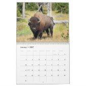 Bison 2026 12 Monatskalender Kalender (Jan 2027)