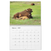 Bison 2026 12 Monatskalender Kalender (Feb 2027)