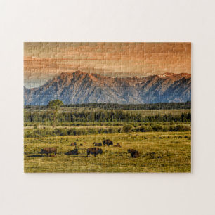 Bison am Sonnenaufgang Puzzle