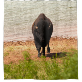 Bison am Wasser Duschvorhang