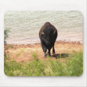 Bison am Wasser Mousepad (Vorne)