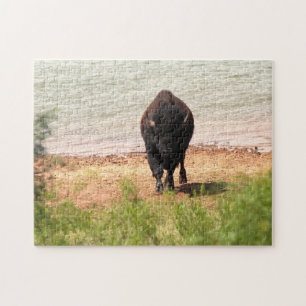 Bison am Wasser Puzzle