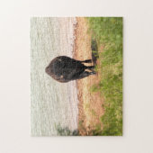 Bison am Wasser Puzzle (Vertikal)