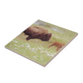 Bison and Calf in Yellowstone Fliese (Seite)