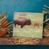 Bison and Calf in Yellowstone Fotoplatte (Seite)