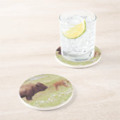 Bison and Calf in Yellowstone Getränkeuntersetzer (Seite)