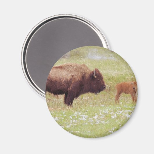 Bison and Calf in Yellowstone Magnet (Vorderseite/Rückseite)