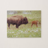 Bison and Calf in Yellowstone Puzzle (Horizontal)