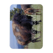 Bison and Calf, Wind Cave National Park, SD Magnet (Vertikal)