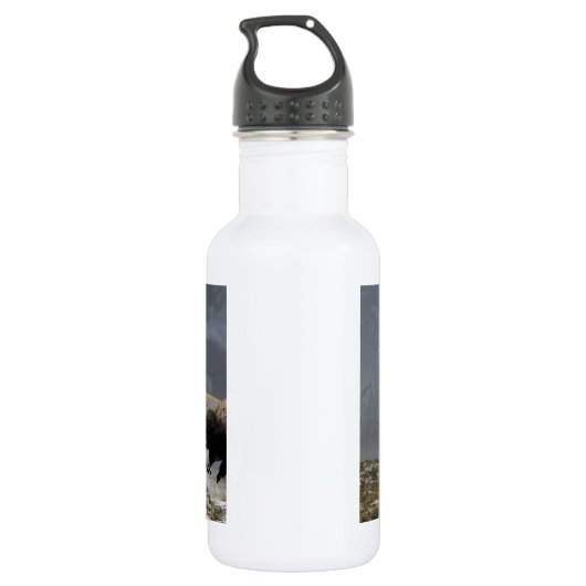 Bison-Ansturm Trinkflasche (Rückseite)