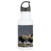 Bison-Ansturm Trinkflasche (Vorderseite)