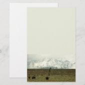 Bison at Grand Teton Nationalpark Fotografie Briefpapier (Vorne/Hinten)