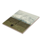 Bison at Grand Teton Nationalpark Fotografie Fliese (Seite)