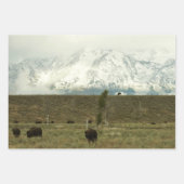 Bison at Grand Teton Nationalpark Fotografie Geschenkpapier Set (Vorderseite 3)