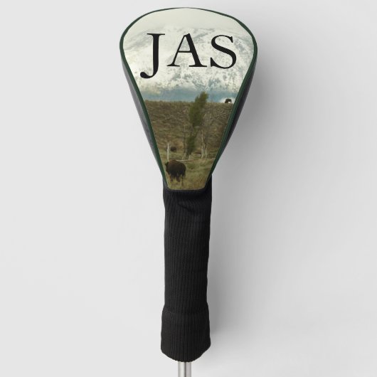 Bison at Grand Teton Nationalpark Fotografie Golf Headcover (Vorderseite)