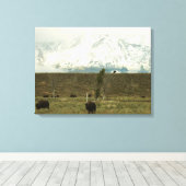 Bison at Grand Teton Nationalpark Fotografie Leinwanddruck (Insitu (Holzboden))