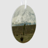 Bison at Grand Teton Nationalpark Fotografie Ornament (Vorderseite)