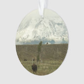 Bison at Grand Teton Nationalpark Fotografie Ornament (Vorderseite)