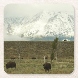 Bison at Grand Teton Nationalpark Fotografie Rechteckiger Pappuntersetzer