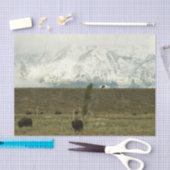 Bison at Grand Teton Nationalpark Fotografie Seidenpapier (Handwerk)