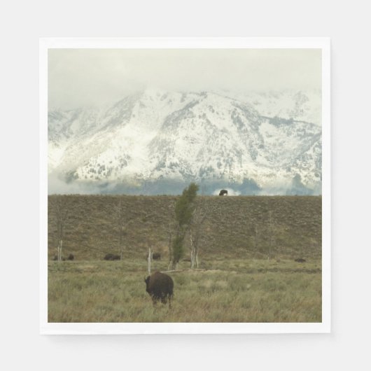 Bison at Grand Teton Nationalpark Fotografie Serviette (Vorderseite)