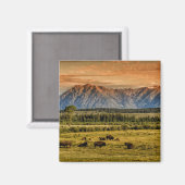 Bison at Sunrise Magnet (Vorderseite/Rückseite)