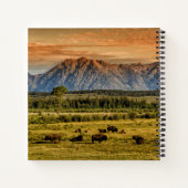 Bison at Sunrise Notizblock (Rückseite)