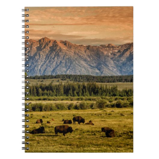 Bison at Sunrise Notizblock (Vorderseite)