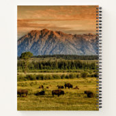 Bison at Sunrise Notizblock (Rückseite)