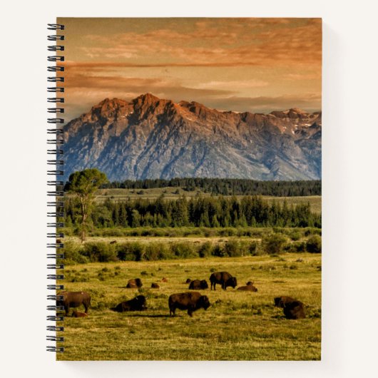Bison at Sunrise Notizblock (Vorderseite)