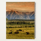 Bison at Sunrise Planer (Rückseite)