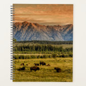 Bison at Sunrise Planer (Vorderseite)