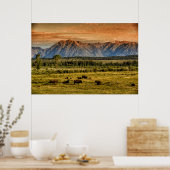 Bison at Sunrise Poster (Küche)