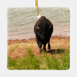 Bison at the Water Keramikornament