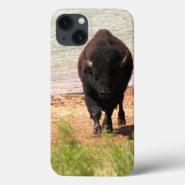 Bison auf dem Wasser iPhone Fälle Case-Mate iPhone Hülle