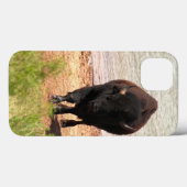 Bison auf dem Wasser iPhone Fälle Case-Mate iPhone Hülle (Rückseite (Horizontal))