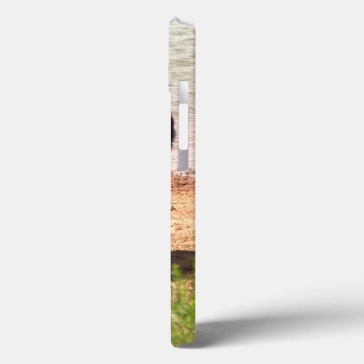 Bison auf dem Wasser iPhone Fälle Case-Mate iPhone Hülle (Rückseite / Links)