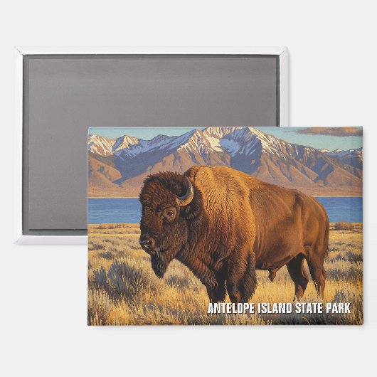 Bison auf der Insel Antelope Staat Park Utah Magnet (Vorderseite/Rückseite)