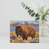 Bison auf der Insel Antelope Staat Park Utah Postkarte (Stehend Vorderseite)