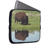 Bison (Bison Bison) auf Graswiese Laptopschutzhülle (Vorne Rechts)