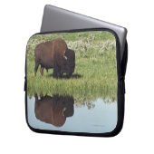 Bison (Bison Bison) auf Graswiese Laptopschutzhülle (Vorderseite Links)