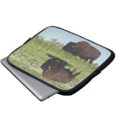 Bison (Bison Bison) auf Graswiese Laptopschutzhülle (Vorne Knopf)