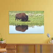 Bison (Bison Bison) auf Graswiese Leinwanddruck (Insitu (Wohnzimmer))