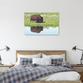 Bison (Bison Bison) auf Graswiese Leinwanddruck (Insitu (Schlafzimmer))