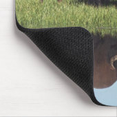 Bison (Bison Bison) auf Graswiese Mousepad (Ecke)