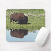 Bison (Bison Bison) auf Graswiese Mousepad (Mit Mouse)
