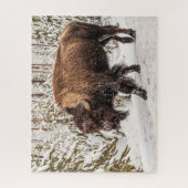 Bison (Bison bison) - Buffalo - Schnee - 520 Stück Puzzle (Vertikal)