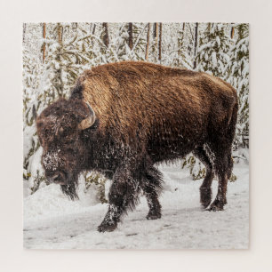 Bison (Bison bison) - Buffalo - Schnee - 676 Stüc Puzzle